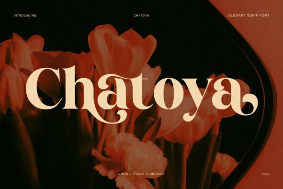 Chatoya Font: A Refined Typeface for Modern Web Design