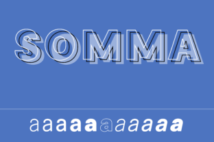 How the Somma Font Family Elevates My Campaign Design