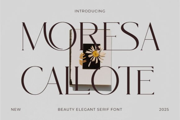 Moresa Callote: A Serif Typeface That Elevates Campaign Design