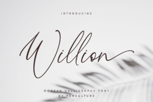 Willion Font: A Marketer’s Secret Weapon for Stronger Visual Campaigns